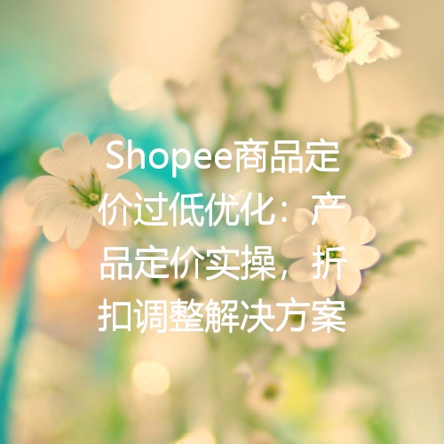 Shopee商品定价过低优化：产品定价实操，折扣调整解决方案