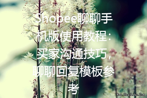 Shopee聊聊手机版使用教程：买家沟通技巧，聊聊回复模板参考