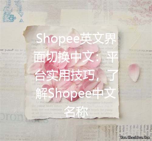 Shopee英文界面切换中文：平台实用技巧，了解Shopee中文名称