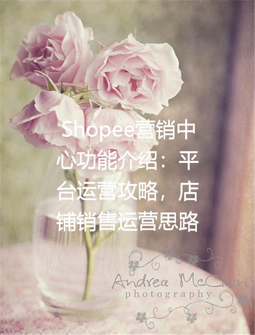 Shopee营销中心功能介绍：平台运营攻略，店铺销售运营思路