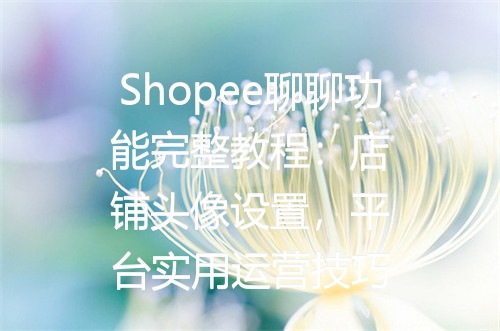 Shopee聊聊功能完整教程：店铺头像设置，平台实用运营技巧