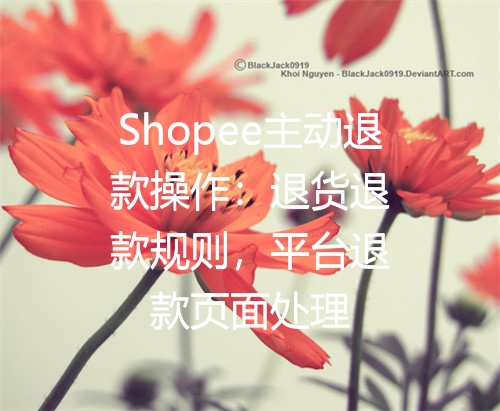 Shopee主动退款操作：退货退款规则，平台退款页面处理