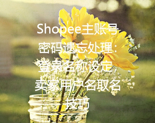 Shopee主账号密码遗忘处理：登录名称设定，卖家用户名取名技巧