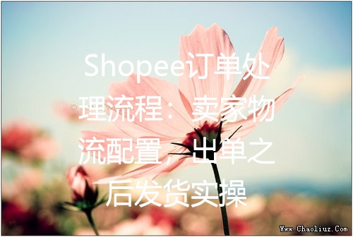 Shopee订单处理流程：卖家物流配置，出单之后发货实操