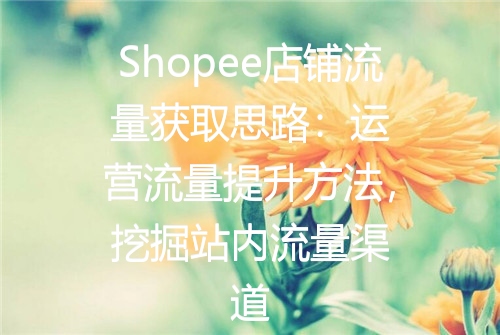 Shopee店铺流量获取思路：运营流量提升方法，挖掘站内流量渠道