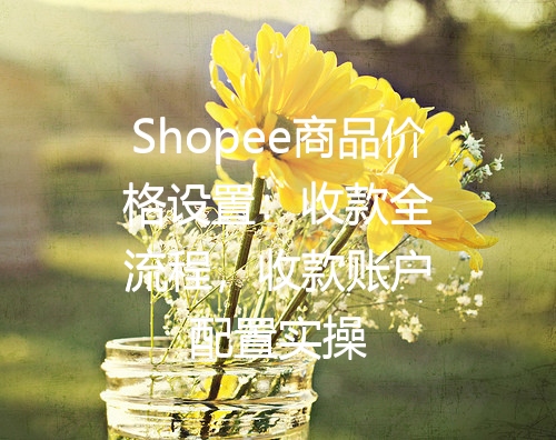 Shopee商品价格设置：收款全流程，收款账户配置实操