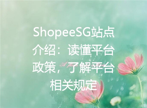 ShopeeSG站点介绍：读懂平台政策，了解平台相关规定