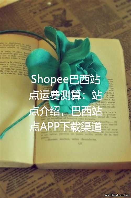 Shopee巴西站点运费测算：站点介绍，巴西站点APP下载渠道