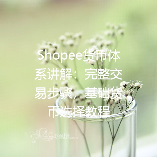 Shopee货币体系讲解：完整交易步骤，基础货币选择教程