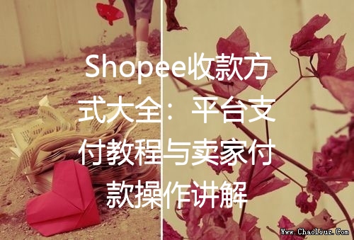 Shopee收款方式大全：平台支付教程与卖家付款操作讲解