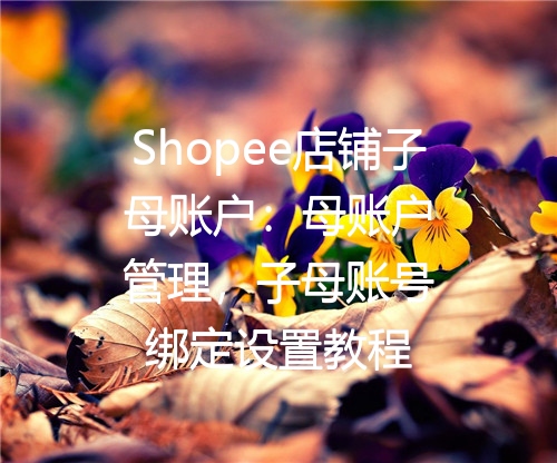 Shopee店铺子母账户：母账户管理，子母账号绑定设置教程