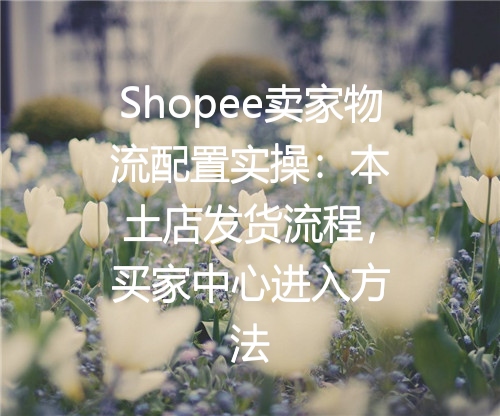 Shopee卖家物流配置实操：本土店发货流程，买家中心进入方法