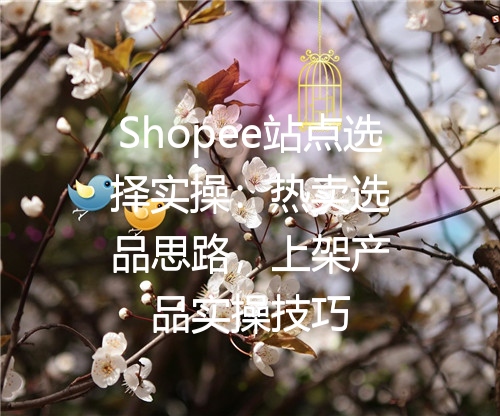 Shopee站点选择实操：热卖选品思路，上架产品实操技巧
