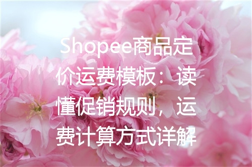 Shopee商品定价运费模板：读懂促销规则，运费计算方式详解