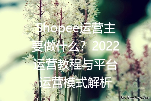 Shopee运营主要做什么？2022运营教程与平台运营模式解析