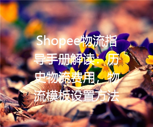 Shopee物流指导手册解读：历史物流费用，物流模板设置方法