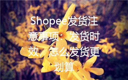 Shopee发货注意事项：发货时效，怎么发货更划算