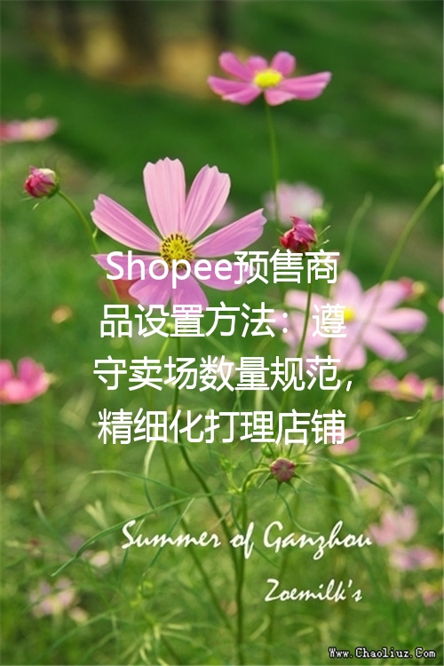 Shopee预售商品设置方法：遵守卖场数量规范，精细化打理店铺