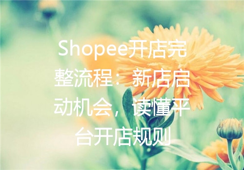 Shopee开店完整流程：新店启动机会，读懂平台开店规则