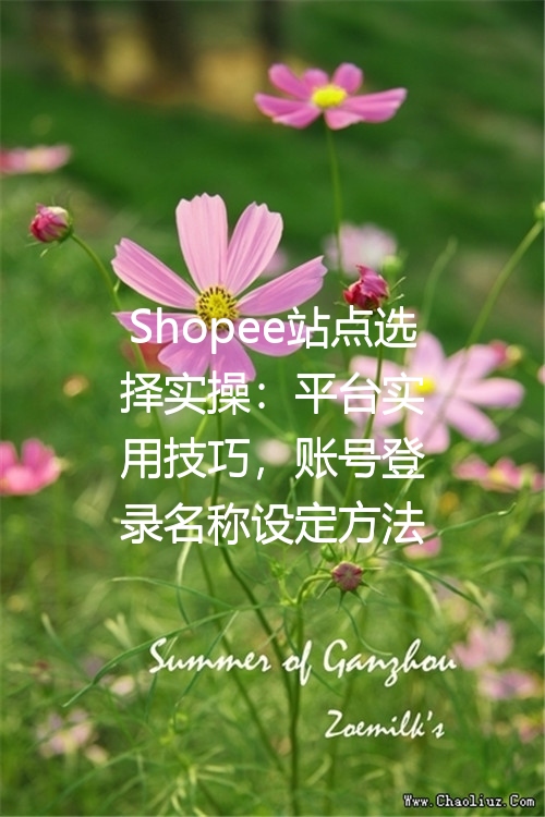 Shopee站点选择实操：平台实用技巧，账号登录名称设定方法