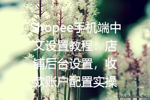 Shopee手机端中文设置教程：店铺后台设置，收款账户配置实操