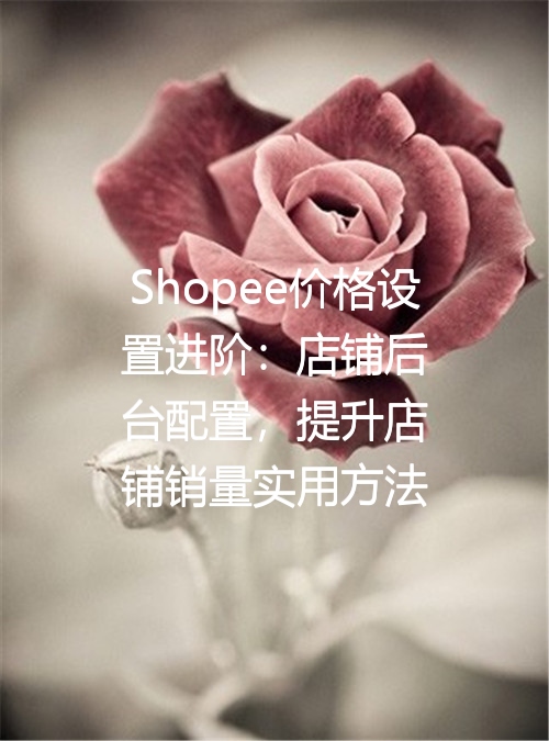 Shopee价格设置进阶：店铺后台配置，提升店铺销量实用方法