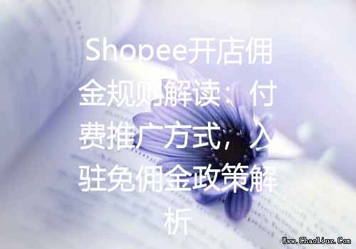 Shopee开店佣金规则解读：付费推广方式，入驻免佣金政策解析