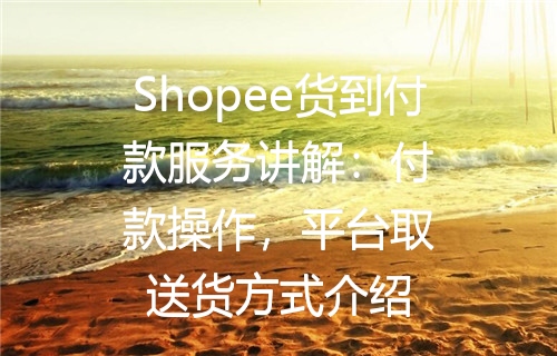 Shopee货到付款服务讲解：付款操作，平台取送货方式介绍