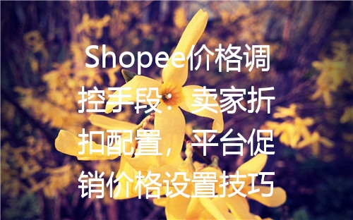 Shopee价格调控手段：卖家折扣配置，平台促销价格设置技巧