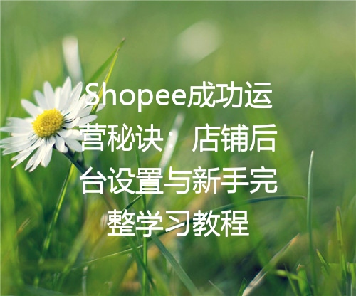 Shopee成功运营秘诀：店铺后台设置与新手完整学习教程