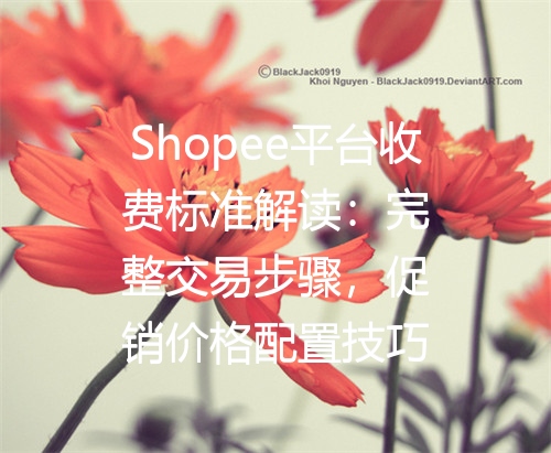 Shopee平台收费标准解读：完整交易步骤，促销价格配置技巧