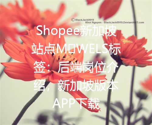 Shopee新加坡站点M‑WELS标签：后端岗位介绍，新加坡版本APP下载