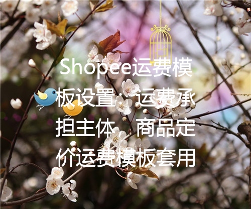 Shopee运费模板设置：运费承担主体，商品定价运费模板套用