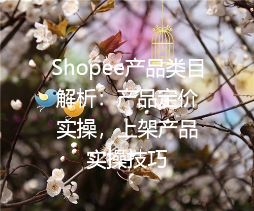Shopee产品类目解析：产品定价实操，上架产品实操技巧