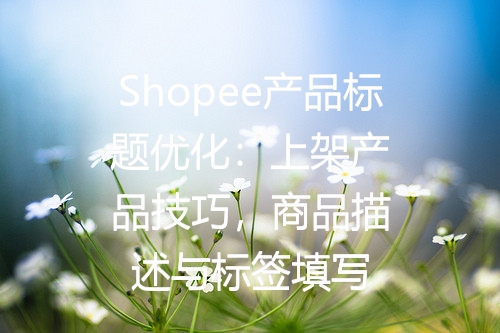Shopee产品标题优化：上架产品技巧，商品描述与标签填写
