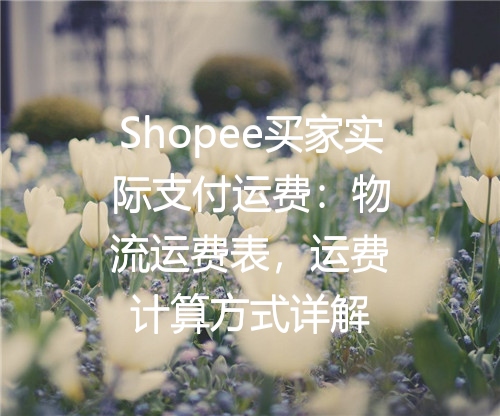 Shopee买家实际支付运费：物流运费表，运费计算方式详解