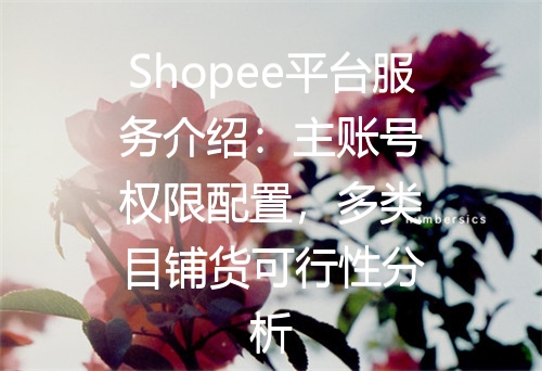 Shopee平台服务介绍：主账号权限配置，多类目铺货可行性分析