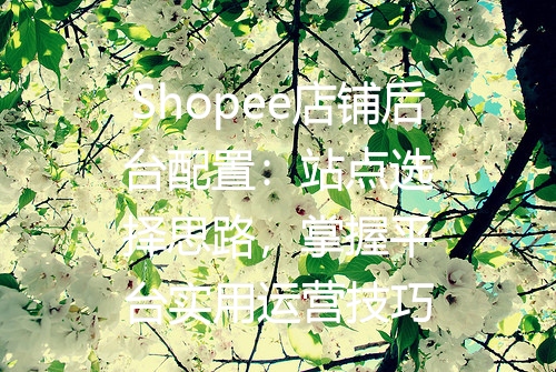 Shopee店铺后台配置：站点选择思路，掌握平台实用运营技巧