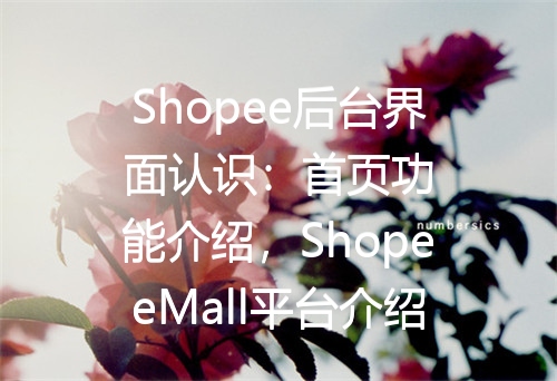 Shopee后台界面认识：首页功能介绍，ShopeeMall平台介绍