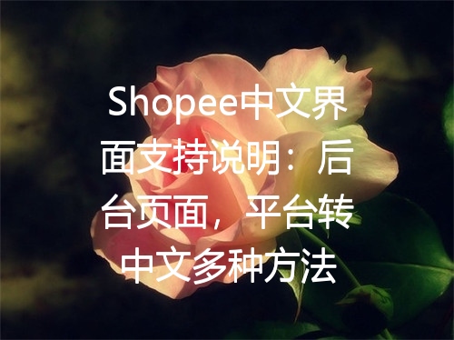 Shopee中文界面支持说明：后台页面，平台转中文多种方法