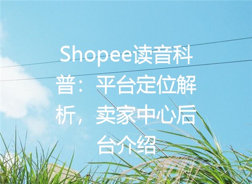 Shopee读音科普：平台定位解析，卖家中心后台介绍