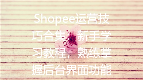 Shopee运营技巧合集：新手学习教程，熟练掌握后台界面功能