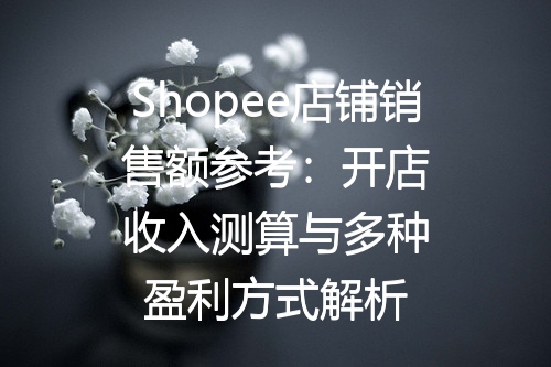 Shopee店铺销售额参考：开店收入测算与多种盈利方式解析