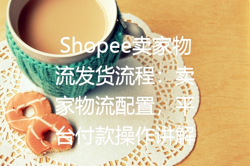 Shopee卖家物流发货流程：卖家物流配置，平台付款操作讲解