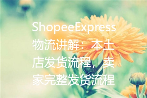 ShopeeExpress物流讲解：本土店发货流程，卖家完整发货流程