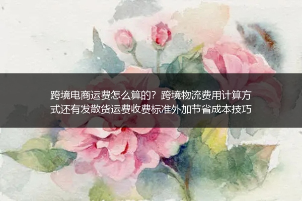 跨境电商运费怎么算的？跨境物流费用计算方式还有发散货运费收费标准外加节省成本技巧