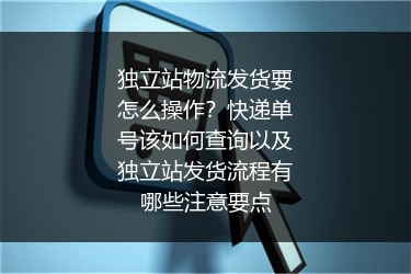 独立站物流发货要怎么操作？快递单号该如何查询以及独立站发货流程有哪些注意要点