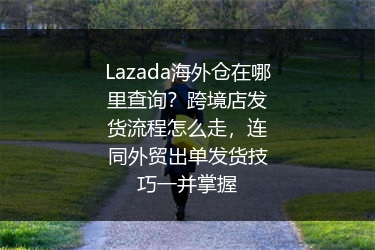 Lazada海外仓在哪里查询？跨境店发货流程怎么走，连同外贸出单发货技巧一并掌握