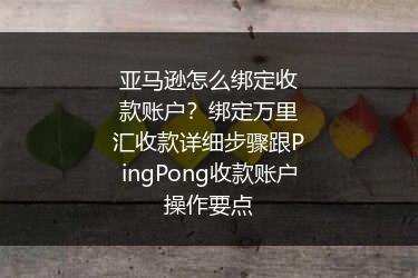 亚马逊怎么绑定收款账户？绑定万里汇收款详细步骤跟PingPong收款账户操作要点