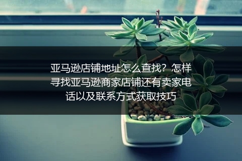 亚马逊店铺地址怎么查找？怎样寻找亚马逊商家店铺还有卖家电话以及联系方式获取技巧